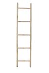 Ladder Sebas