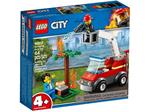 Lego City 60212 Barbecuebrand blussen