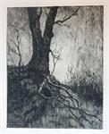Etching/ets: fallen tree by river/Gevallen boom bij rivier.