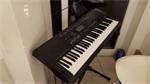 Casio CTK-3000 met accesoires, gratis muziekboeken