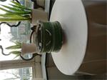keramiek pot