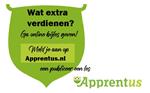 Bijles en/of privéles : docenten in heel NL en Be