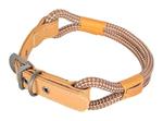 Zolux Halsband Hond Imao Hydepark Bruin