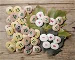 Pebbles/stenen - sommen maken (50 stuks)