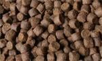 steurvoer steur voer topkwaliteit 25kg. €62