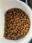 KOI CAPSANTHINE grower zinkend 8mm. 25kg.  