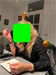 Te koop 2 Jendaya's  inclusief kooi