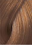 Color Touch Deep Brown 7/7