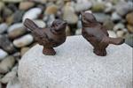 Twee vogeltjes op een Steen/Kei