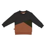 Frogs and Dogs Dino Park jongens Sweater colour block