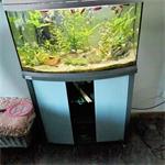 Te koop  aquarium 