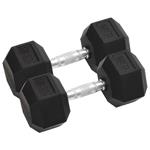 vidaXL Halters 2 st 25 kg gietijzer