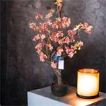 Kunst bloesemboom - Peach - 75cm