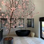Bloesemboom - sterk vertakt - Sakura - 350cm - cherry blossom -