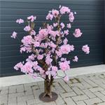 Kersen bloesemboom roze - 120cm - *AANBIEDING*