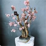 Roze - Sakura bloesemboom - Rituals - 65-75cm - kunst bloesem -