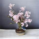 Cherry bloesem - boom - 55cm - roze