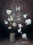 Sakura - silk blossom - cherry blossom - Witte kersenbloesem - kunst bloesemtak -