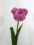 Tulp - 45cm - roze