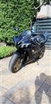 Honda CBR 900RR FireBlade 1998 SuperBike