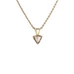 Gouden hanger met champagne diamant 14 krt  €897.5