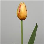 Lange tulp geel