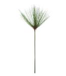 Gras - Papyrus - 70cm -