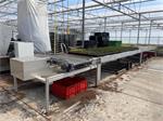 Bufferband met overduwer voor potplanten en trays