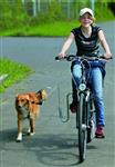 Springer / fietsbeugel honden fietshouder €34,95