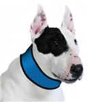 Aqua Coolers koel halsband voor uw hond vanaf 6,49