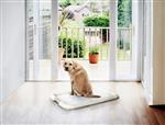 Puppy toilet met 7 gratis pads nu €15,99