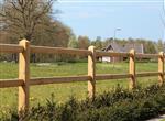Doorsteek omheining Eikenhout | 2- liggers