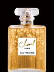 Glasschilderij Coco Chanel Paris eau premiere Parfum | 042