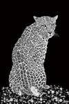 Glasschilderij Panter met diamanten | 833