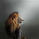 Glasschilderij leeuw 151