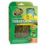 Terrarium Moss