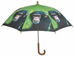 Paraplu aap, Chimpansee, kinderparaplu                       KG158A