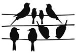 Raamstickers Vogels op draad, Zwart FB576