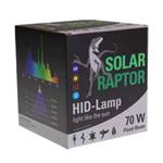 HID Flood Lamp