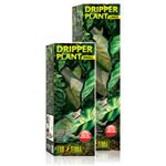 Dripper Plant