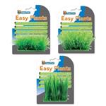 Easy Plant Carpet
