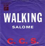 CCS - Walking