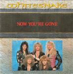 Whitesnake - Now You're Gone