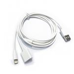 USB oplaadkabel voor Apple Pencil 1 en iPhone/iPad