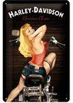 Harley-Davidson american classic reclamebord