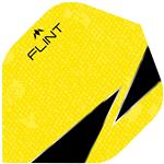 Mission Flint X Geel Flight