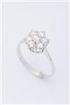 Wit gouden entourage ring met 7 briljanten. Totaal 0.90 ct.