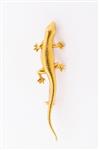 Gouden salamander broche