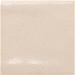 Quintessenza Memento MEM102L Avorio Lucido 5x20cm (partij van 11 m²)