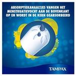 Tampax CEF Regular